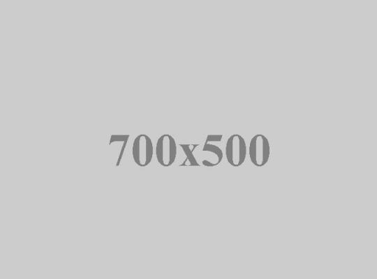 Fast Air Freight